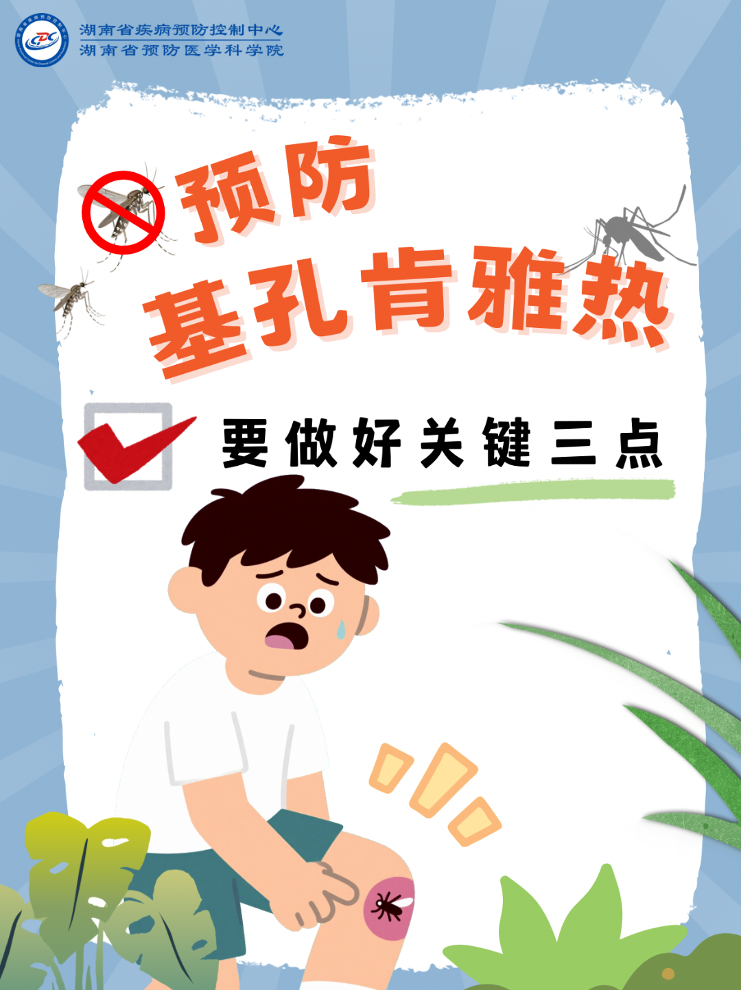 1-预防基孔肯雅热做好关键三点.png