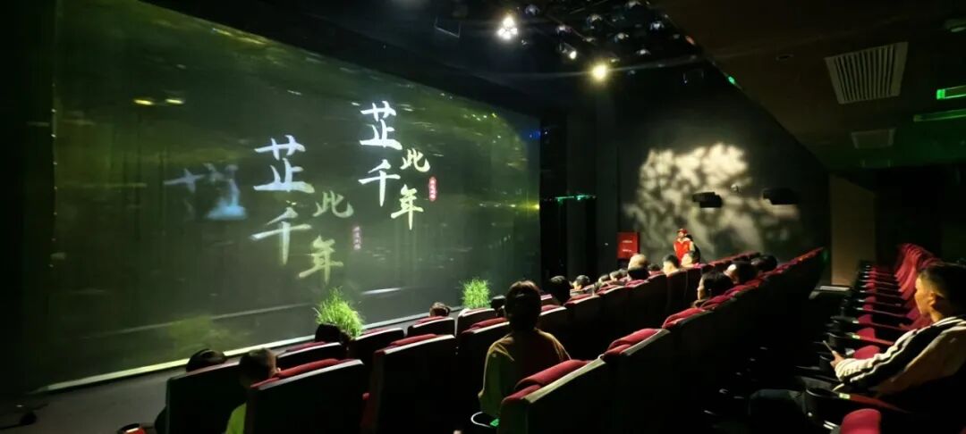 国庆七天 乐在五溪㊾|国庆假期过半,怀化文旅怎么还如此“上头”?