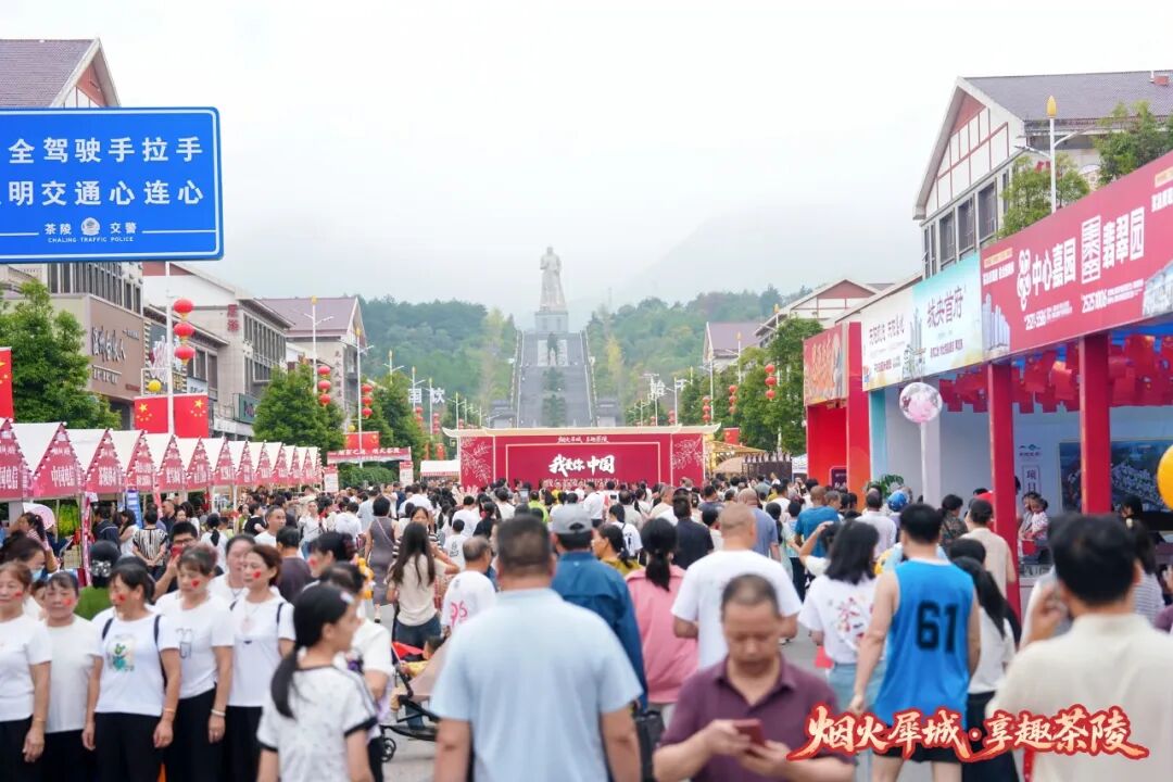 烟火落处,致谢同行|谢谢每一个你,让茶陵这个秋天格外温暖