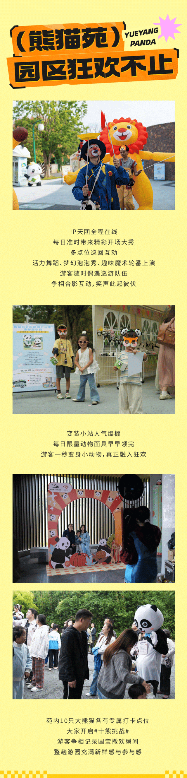 国宝萌友季・动物大狂欢落幕！13天动物公民狂欢记忆~